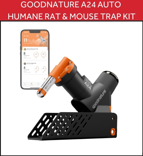 Humane mouse & rat trap